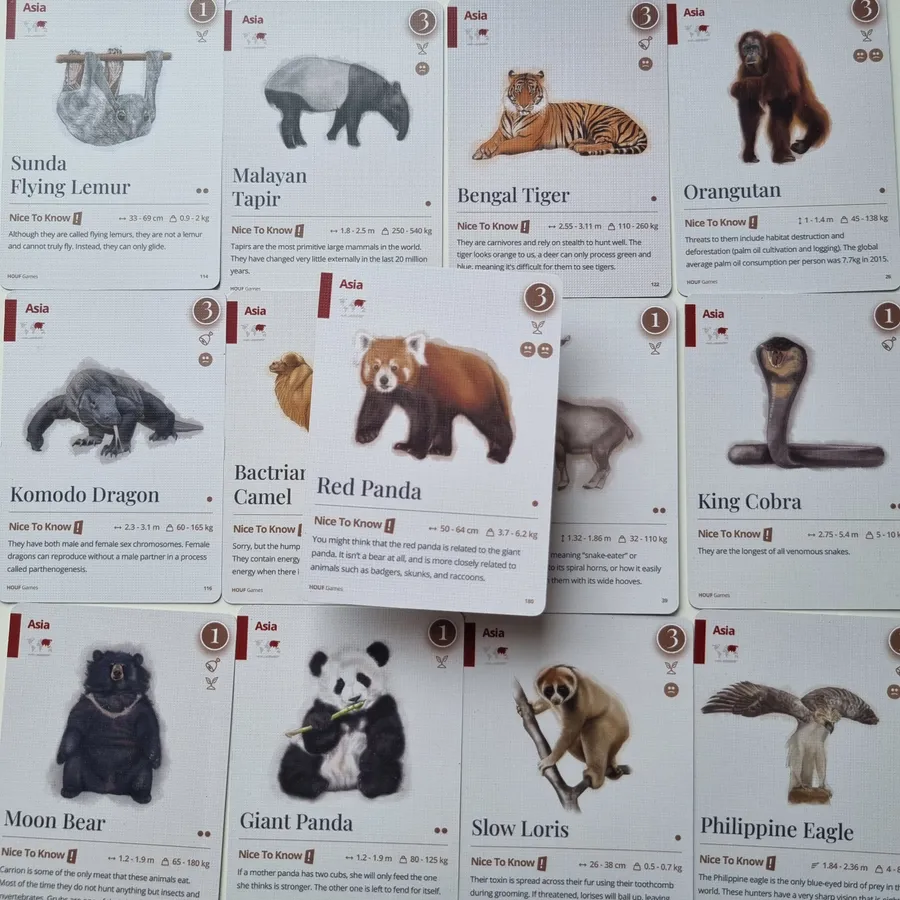 Nice to Know! Animals - Image 8