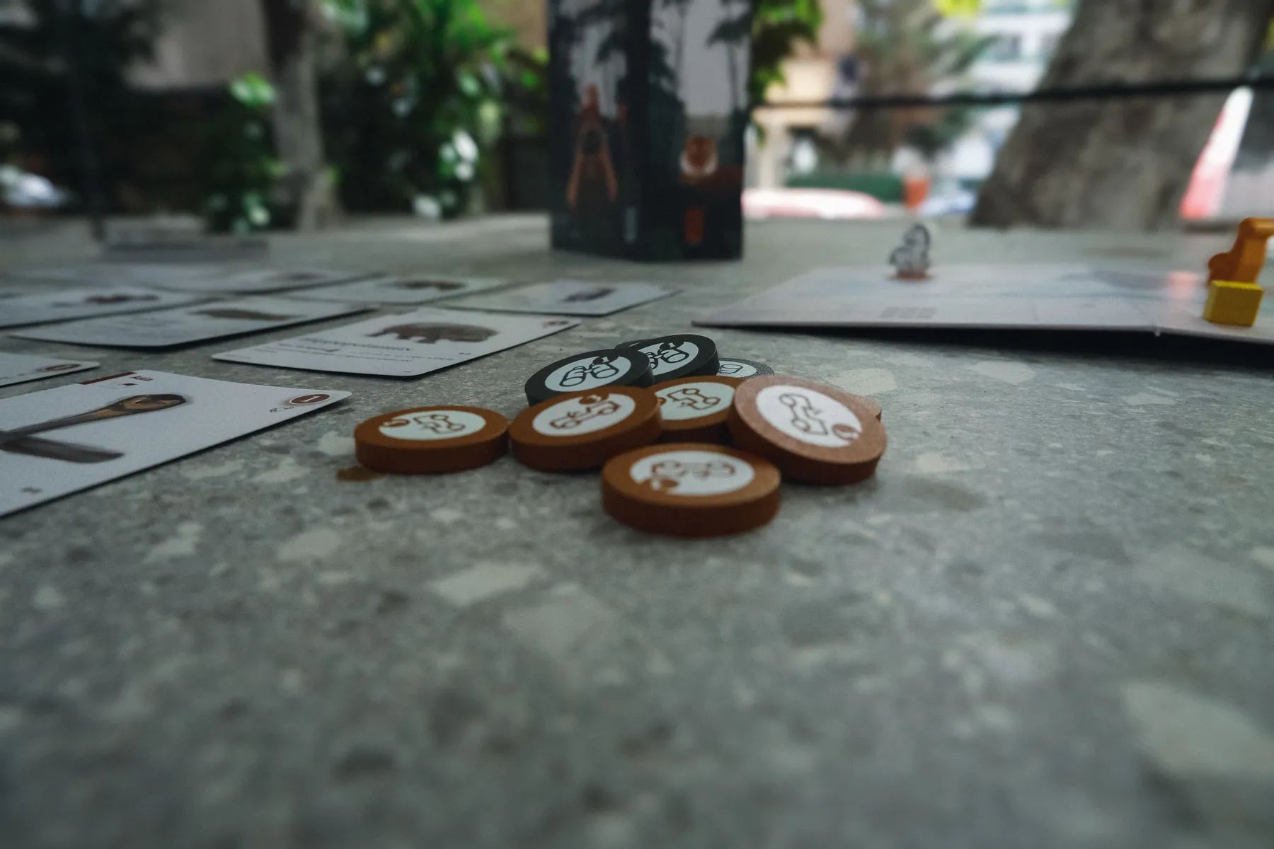 Nice to Know! Animals - Image 5